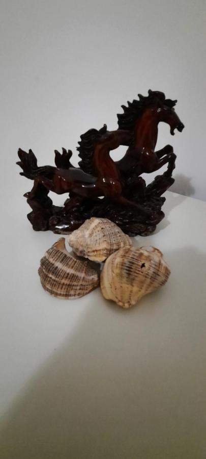 Apartament Clara Permet Διαμέρισμα Εξωτερικό φωτογραφία